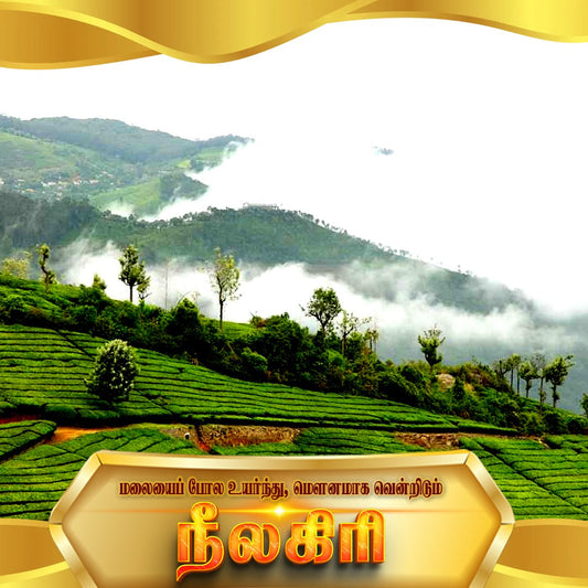 Nilgiris